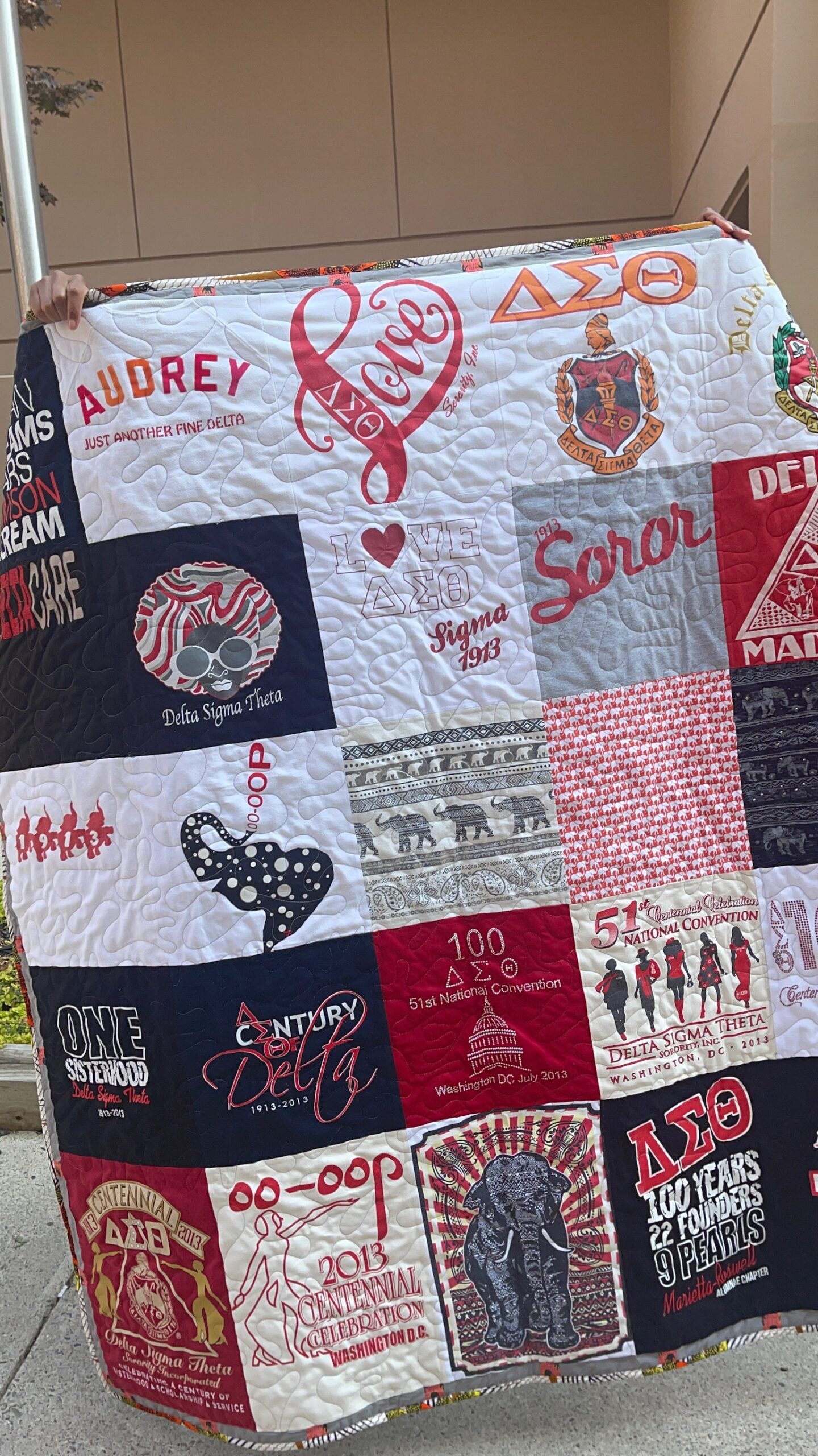 Delta Sigma Theta Tshirt Quilt